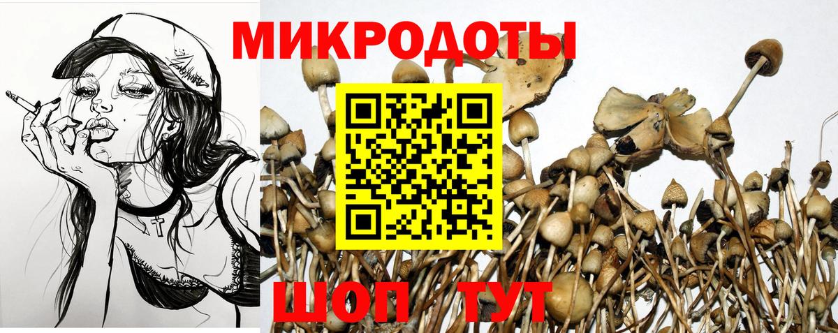 Ивантеевка  Галлюциногенные грибы ЛСД  Галлюциногенные грибы MAGIC MUSHROOMS  где продают наркотики  Вход с VPN 